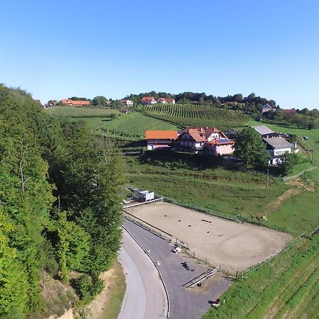Guesthouse Kaucic Benedikt v Slovenskih Goricah ภายนอก รูปภาพ