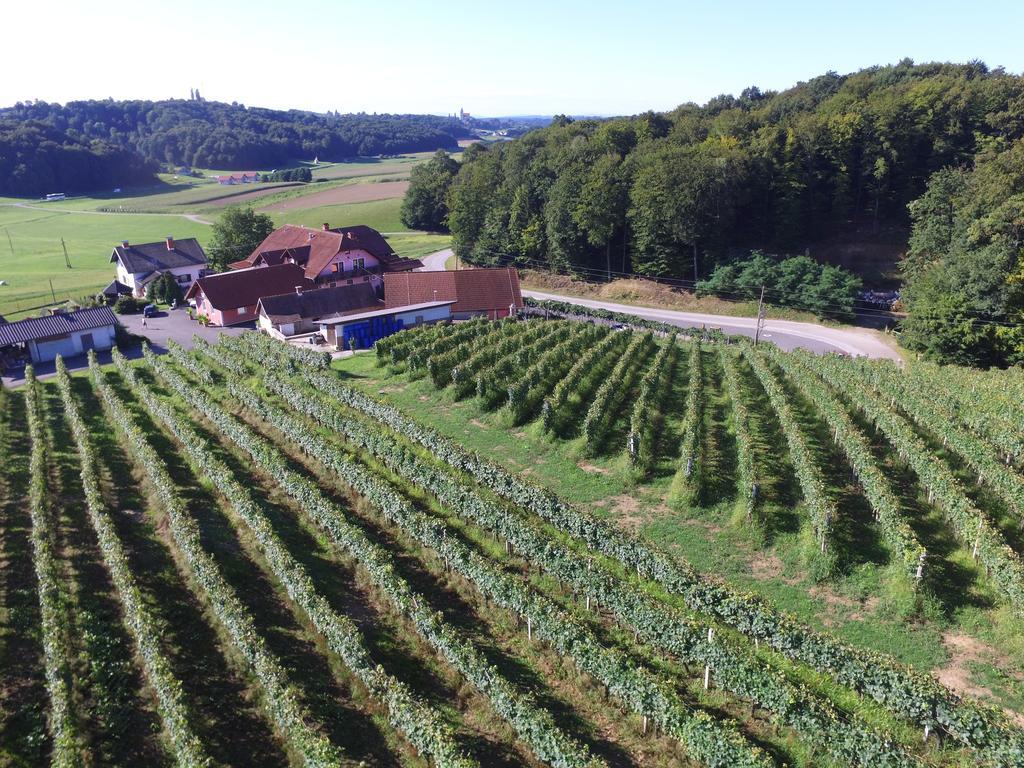 Guesthouse Kaucic Benedikt v Slovenskih Goricah ภายนอก รูปภาพ