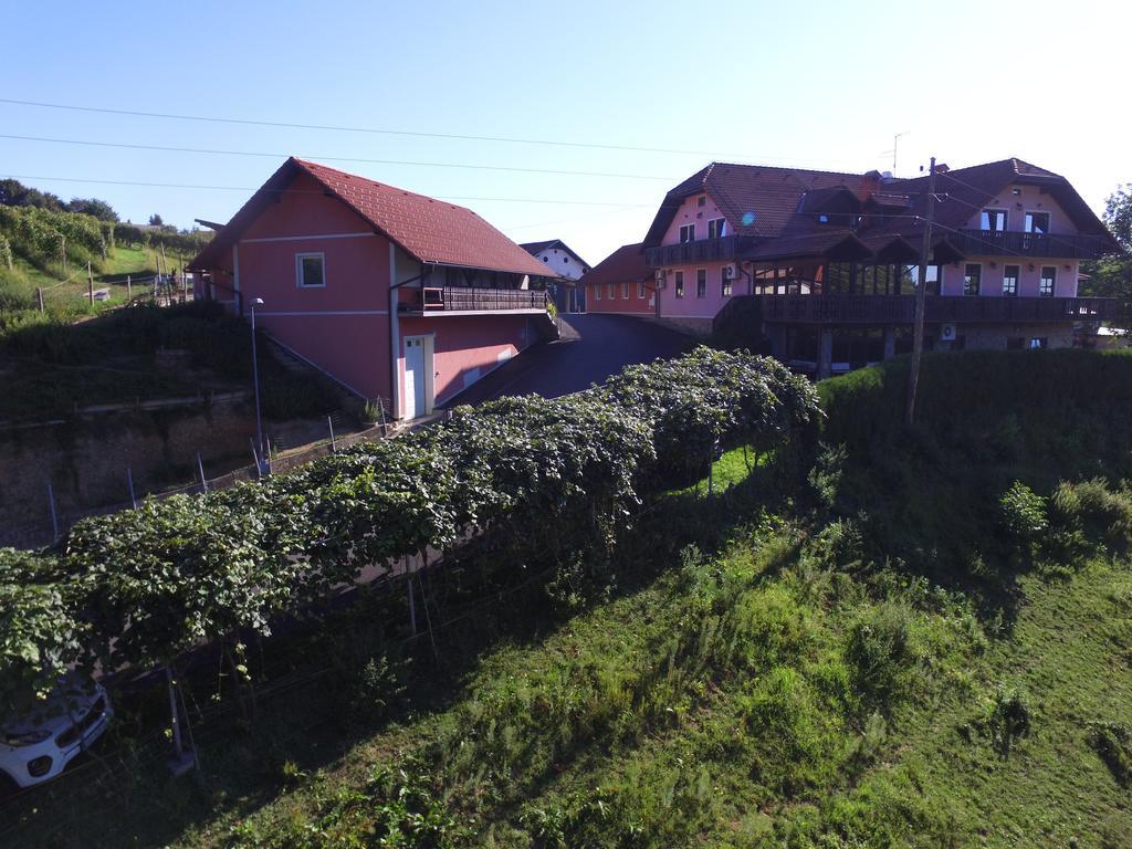 Guesthouse Kaucic Benedikt v Slovenskih Goricah ภายนอก รูปภาพ