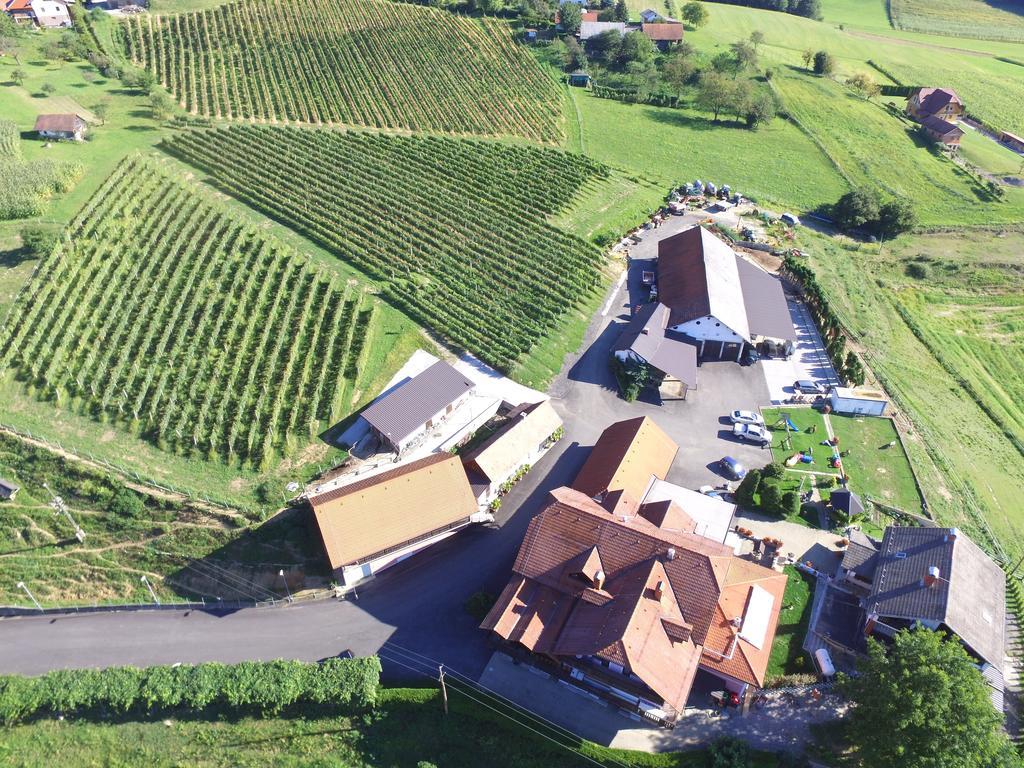 Guesthouse Kaucic Benedikt v Slovenskih Goricah ภายนอก รูปภาพ