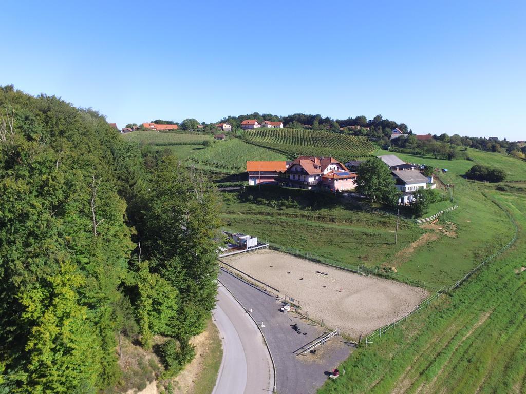 Guesthouse Kaucic Benedikt v Slovenskih Goricah ภายนอก รูปภาพ