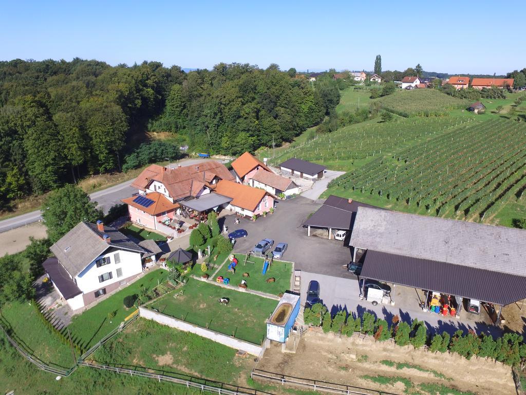 Guesthouse Kaucic Benedikt v Slovenskih Goricah ภายนอก รูปภาพ